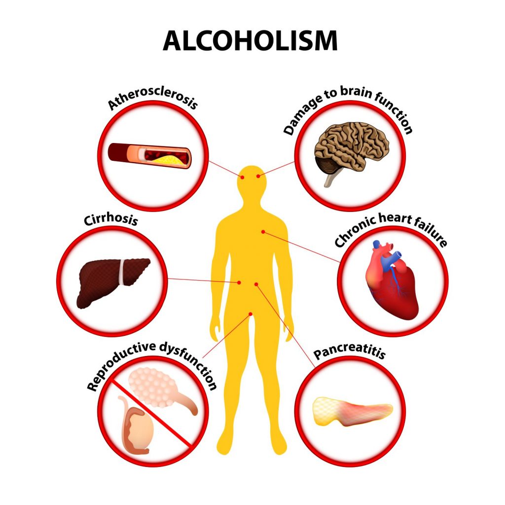 the many things alcohol does to your body