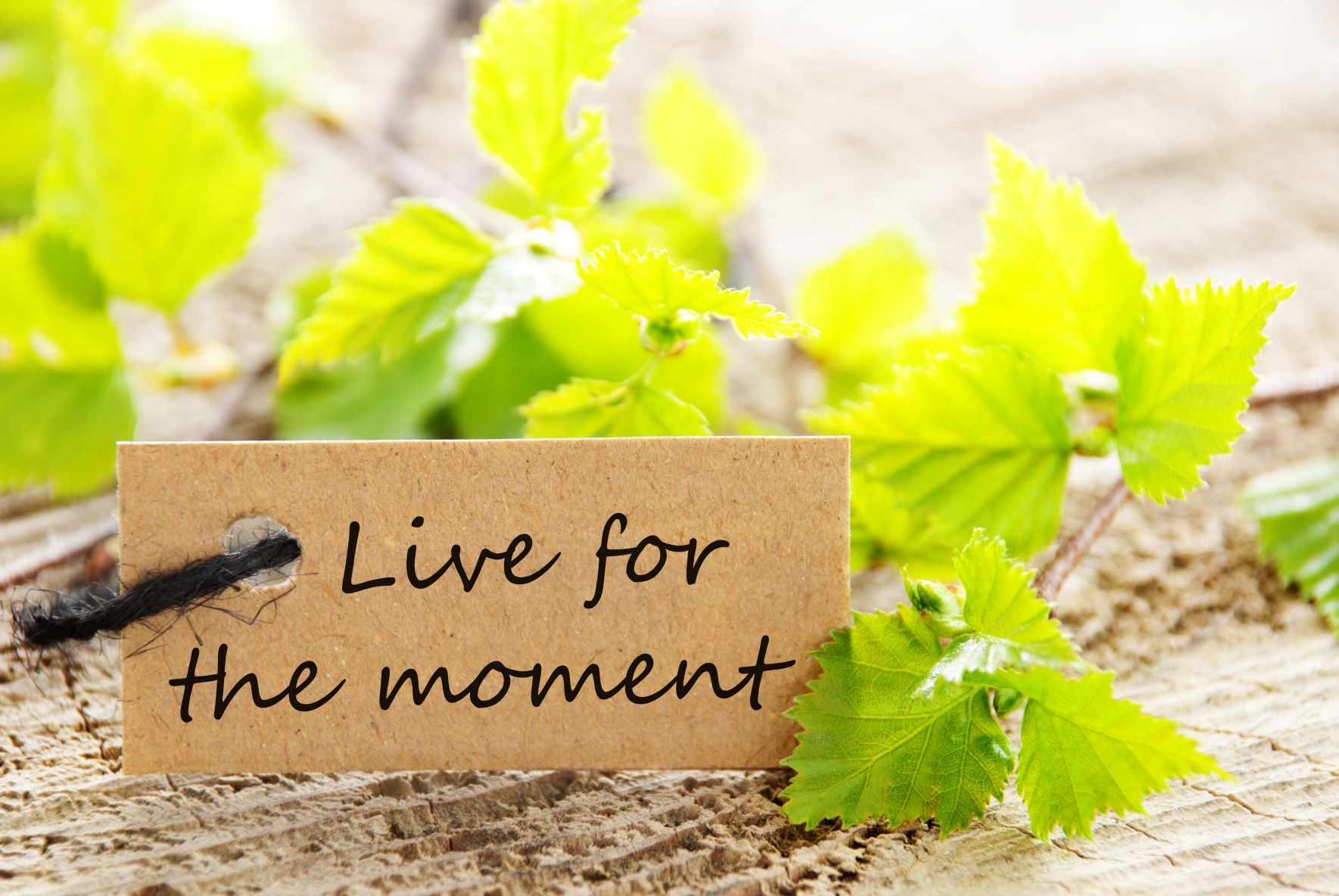 Living in the Moment: Enjoy Your Abundant Life